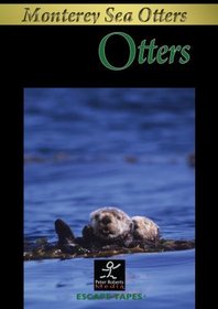 Otters: Monterey Bay Relaxing Nature Video/Nature Sounds