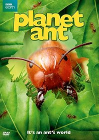 Planet Ant