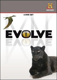 Evolve