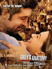 Grey's Anatomy: The Complete Fifth Season [Blu-ray]