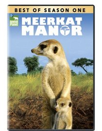 Best of Meerkat Manor - Season 1