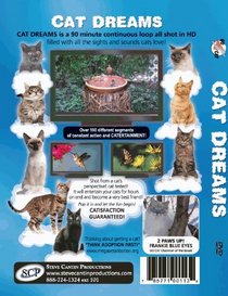 GoCat "Cat Dreams" DVD for Cats