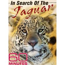60 Minutes - In Search of Jaguars (January 30, 2011)