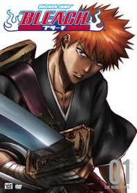 Bleach Vol. 1 Manga & DVD Bundle