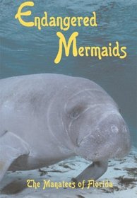 Endangered Mermaids The Manatees of Florida