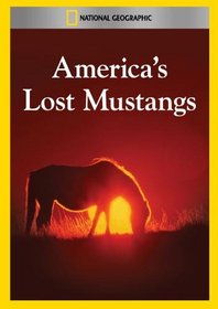 America's Lost Mustangs