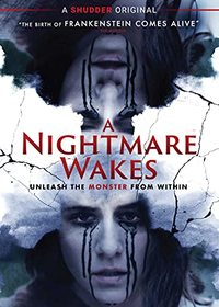 A Nightmare Wakes