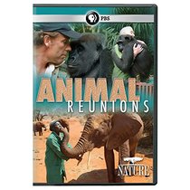 NATURE: Animal Reunions DVD