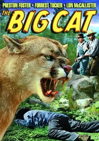 Big Cat