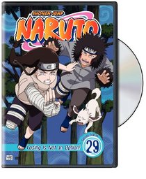 Naruto, Vol. 29