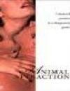 Animal Attraction