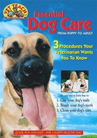 Essential Dog Care