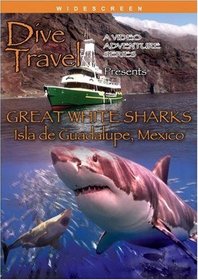 Dive Travel  Great White Sharks Isla de Guadalupe, Mexico
