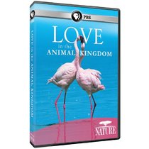 Nature: Love in the Animal Kingdom