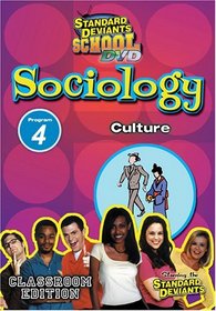 Standard Deviants: Sociology Module 4 - Culture