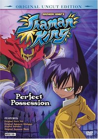 Shaman King, Vol. 2: Perfect Possession