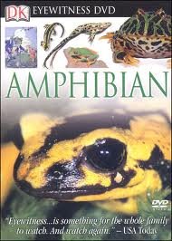 Amphibian