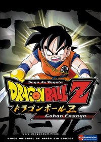 Dragon Ball Z: Gohan Ensaya v.4 - Spanish