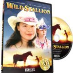 The Wild Stallion