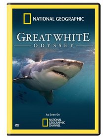 Great White Odyssey