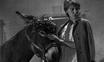 Au hasard Balthazar (The Criterion Collection) [Blu-ray]