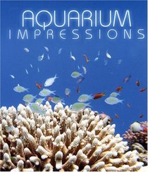 Aquarium Impressions [HD DVD]