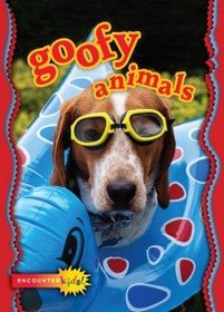 Goofy Animals 3 DVD Set