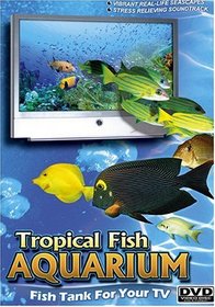 Tropical Fish Aquarium