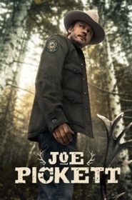 Joe Pickett: The Complete Series [DVD]