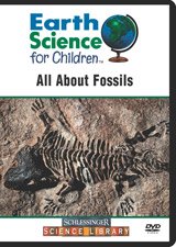 All About Fossils
