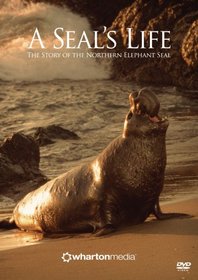 A Seal's Life - The Story of the Northern Elephant Seal