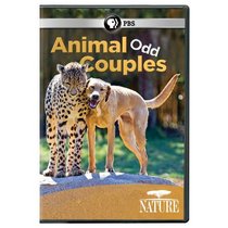 Nature: Animal Odd Couples