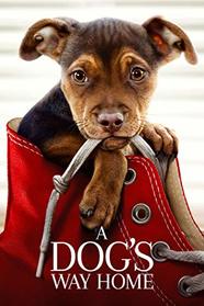 Dog's Way Home, A [Blu-ray]