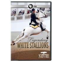 NATURE: Legendary White Stallions