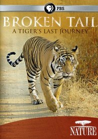 Nature: Broken Tail: A Tiger's Last Journey