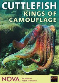 NOVA: Cuttlefish - Kings of Camouflage