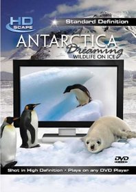 Antarctica Dreaming: Wildlife on Ice (Dol)