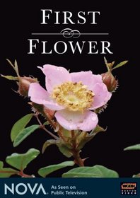 NOVA: First Flower