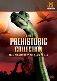 Prehistoric Collection: From Dinosaurs to the Dawn of Man