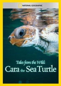 Tales from the Wild: Cara the Sea Turtle
