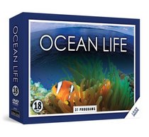 Ocean Life (18-pack)
