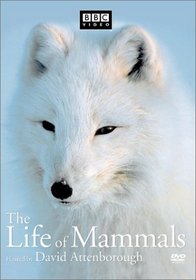 The Life of Mammals, Vol. 2