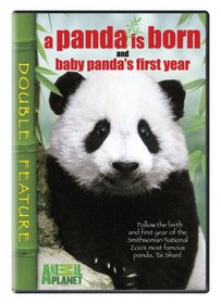 Panda Is Born & Baby Panda's First Year (Full)
