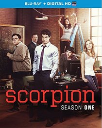 Scorpion: Season 1 [Blu-ray]