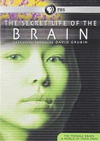 Secret Life of the Brain: The Teenage Brain-Teenag