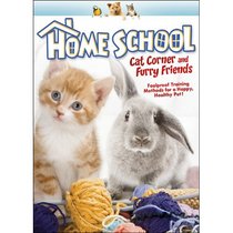 Home School: Cat Corner & Furry Friends