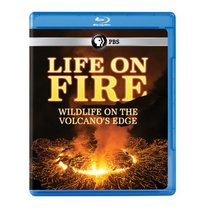 Life on Fire: Wildlife on the Volcanos Edge [Blu-ray]
