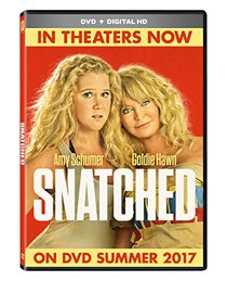 Snatched (DVD + DHD)