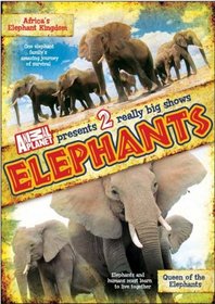 Elephants (Full)