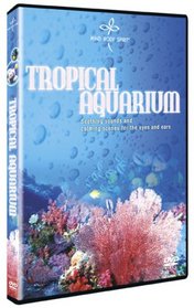 Mind Body Spirit: Tropical Aquarium